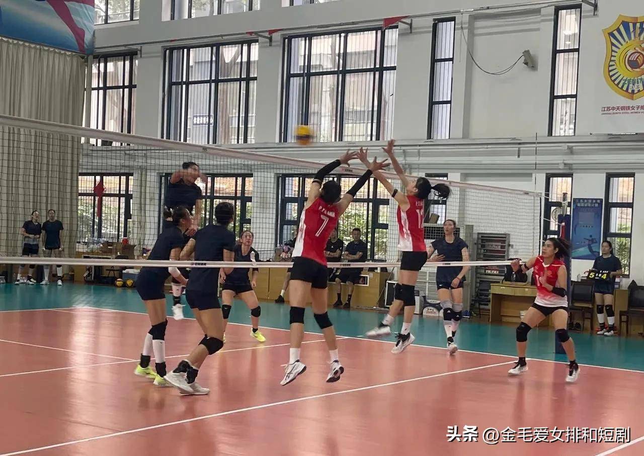 全国女排锦